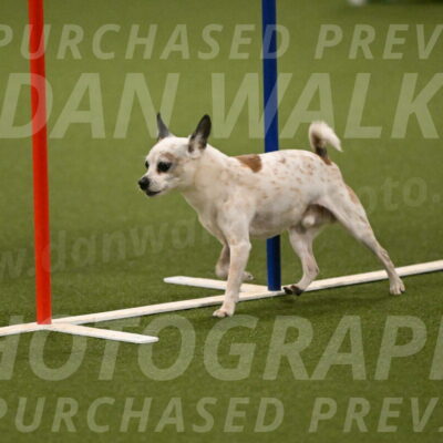 Bob-Hope-Margaret-Poulin-11308