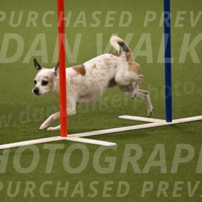 Bob-Hope-Margaret-Poulin-11309