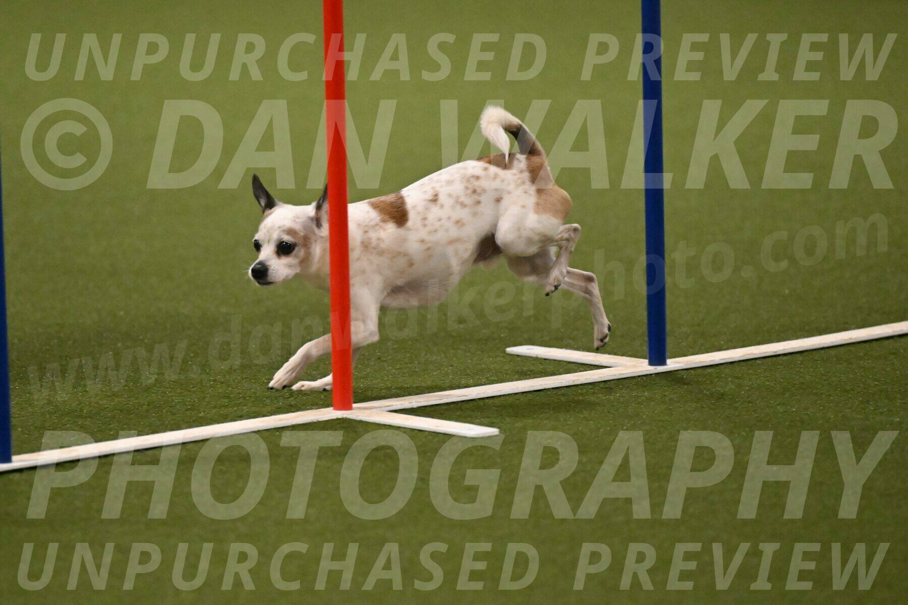 Bob-Hope-Margaret-Poulin-11309