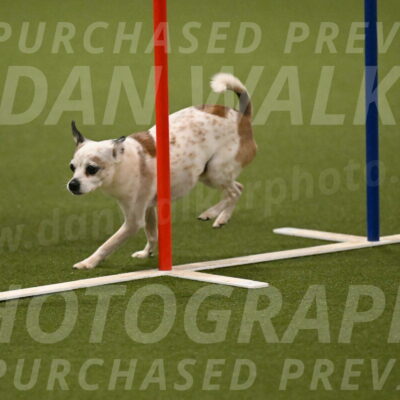 Bob-Hope-Margaret-Poulin-11310