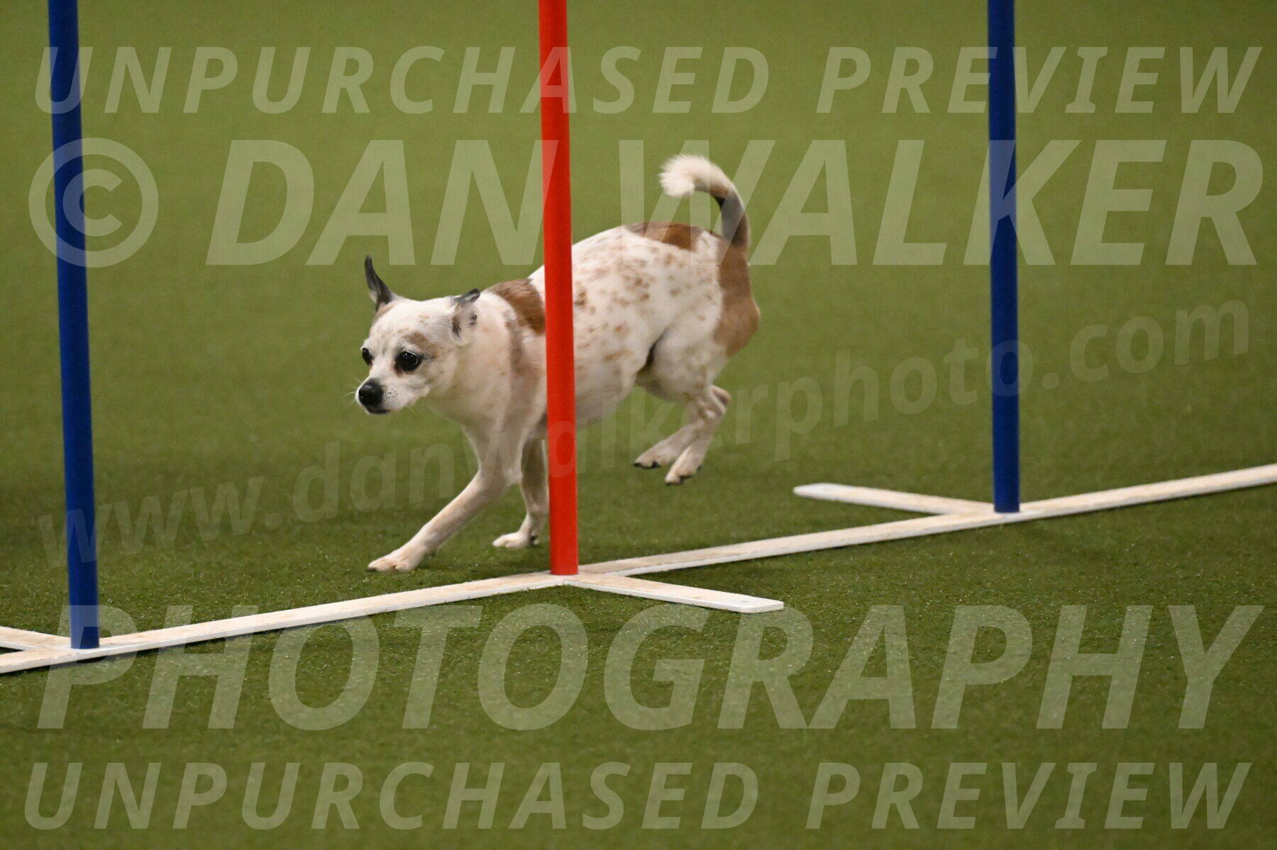 Bob-Hope-Margaret-Poulin-11310