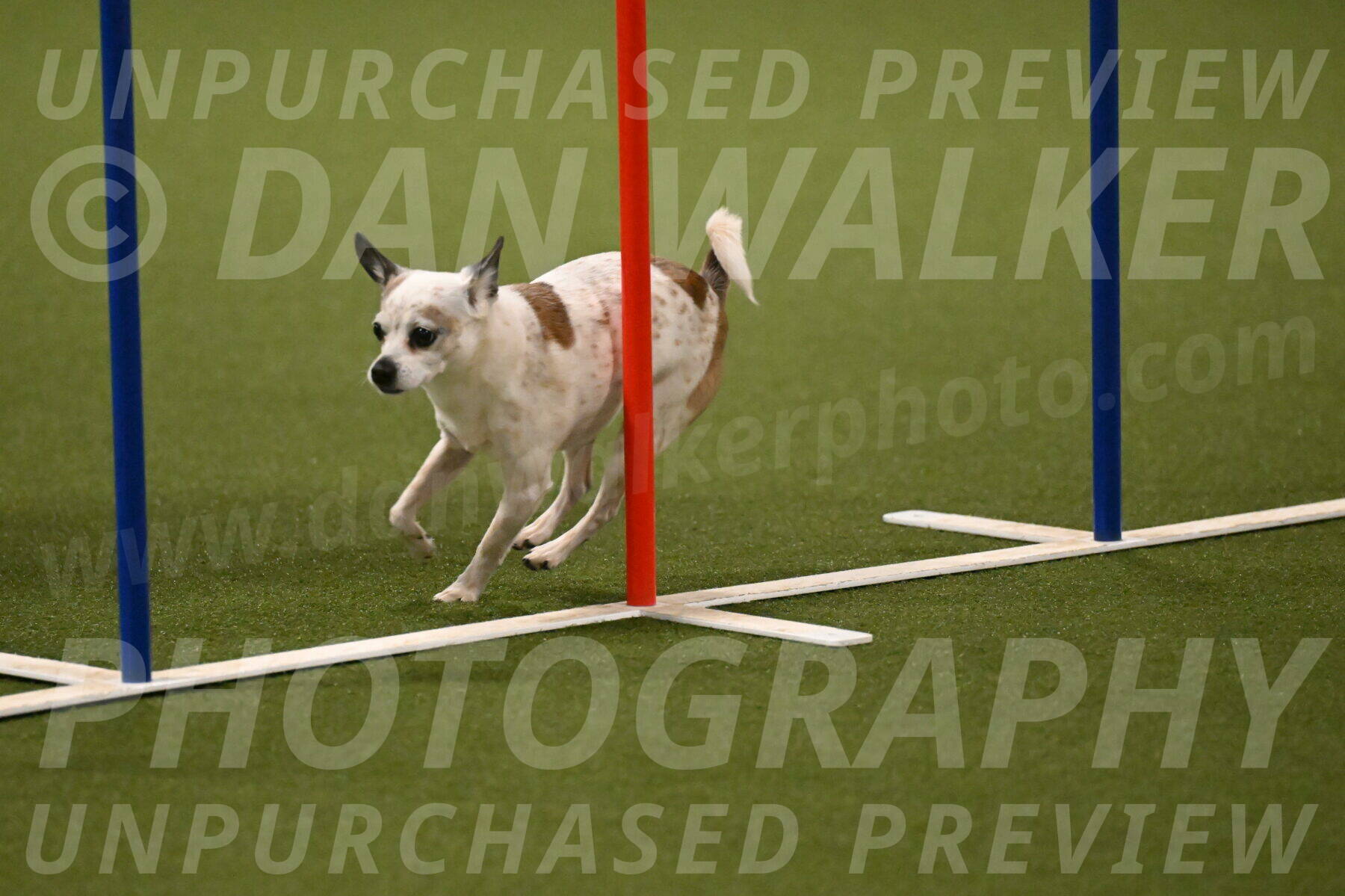 Bob-Hope-Margaret-Poulin-11311