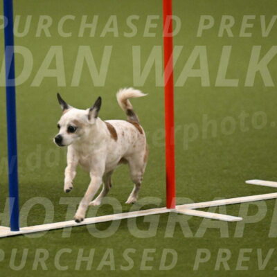 Bob-Hope-Margaret-Poulin-11312