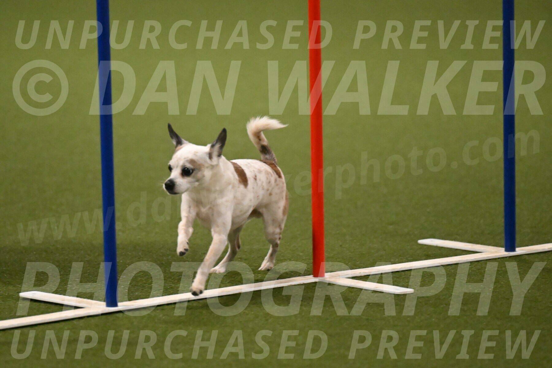 Bob-Hope-Margaret-Poulin-11312