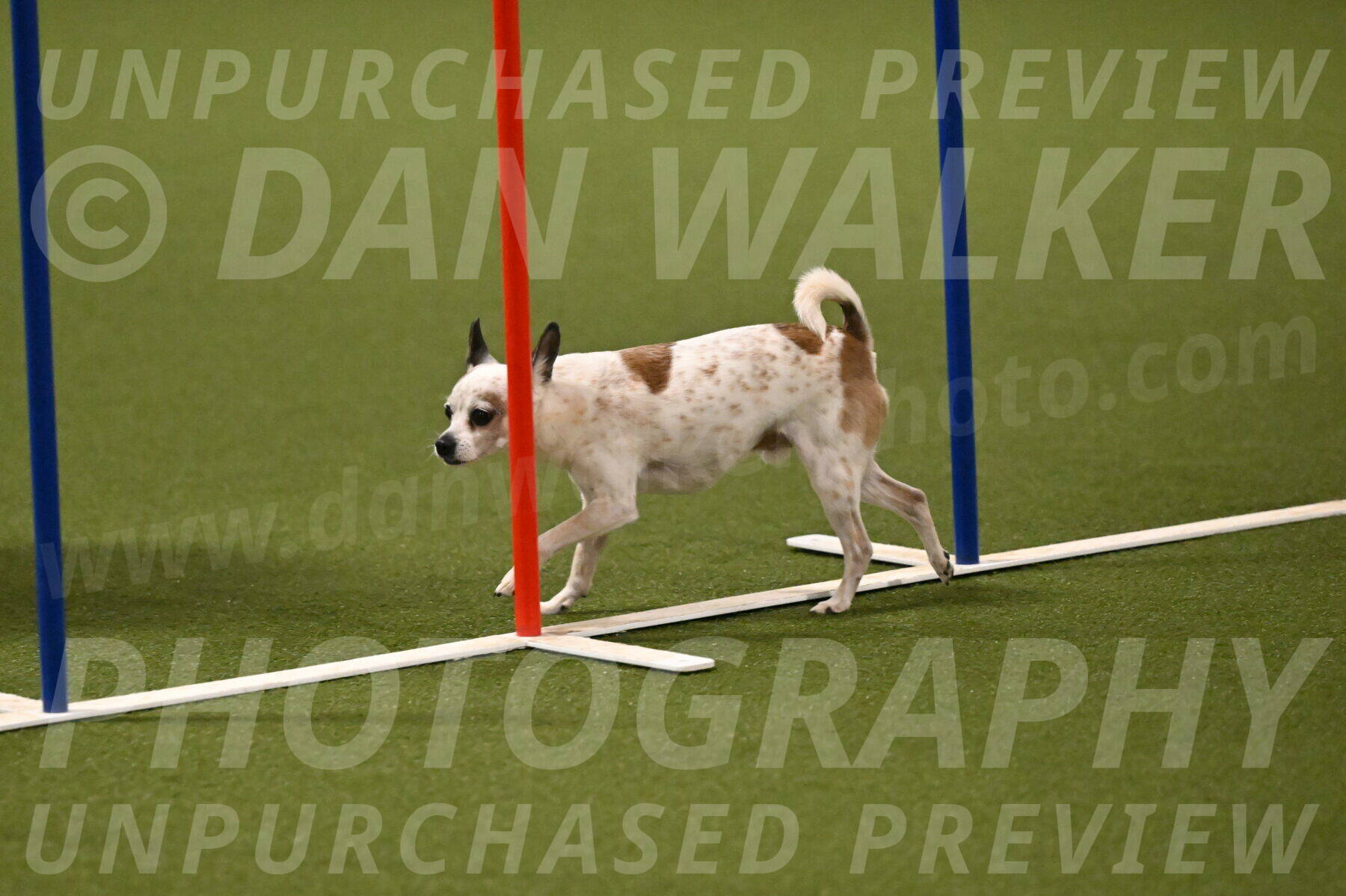 Bob-Hope-Margaret-Poulin-11314