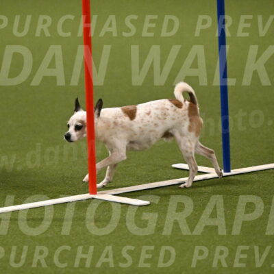 Bob-Hope-Margaret-Poulin-11314