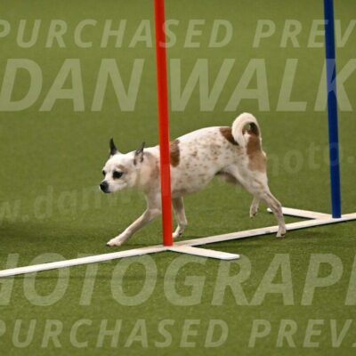 Bob-Hope-Margaret-Poulin-11315