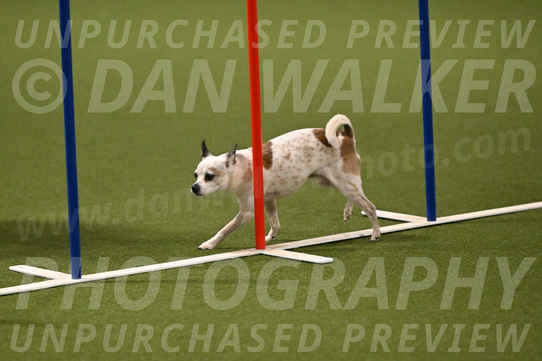 Bob-Hope-Margaret-Poulin-11315