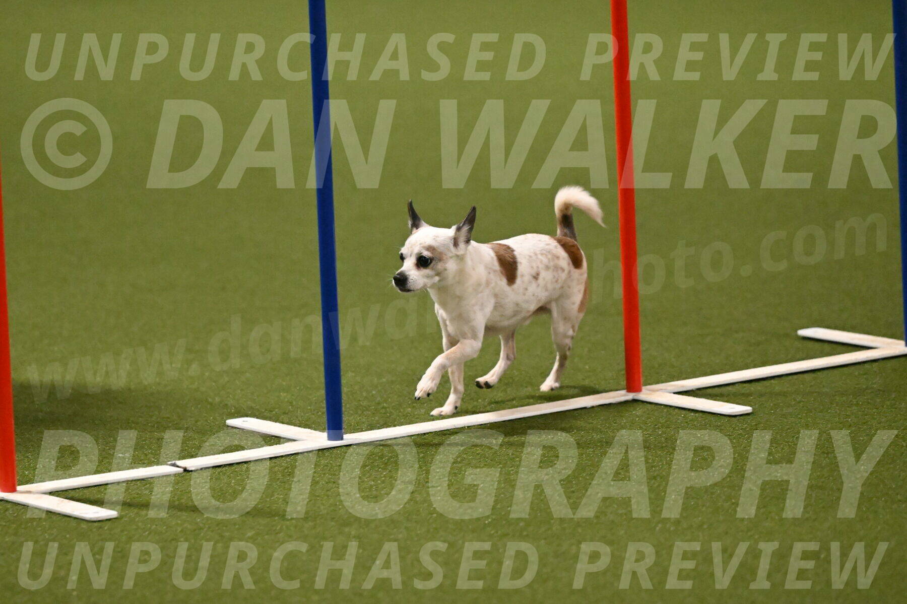 Bob-Hope-Margaret-Poulin-11317