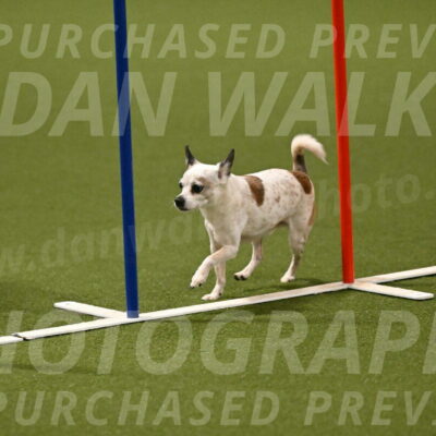 Bob-Hope-Margaret-Poulin-11317