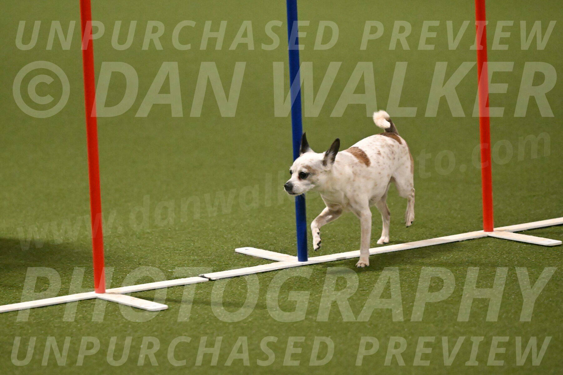 Bob-Hope-Margaret-Poulin-11318