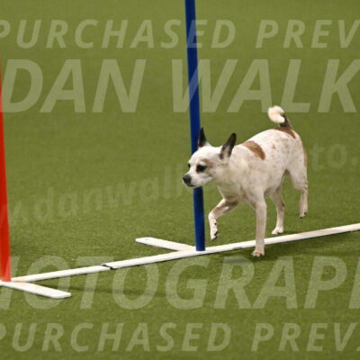 Bob-Hope-Margaret-Poulin-11318