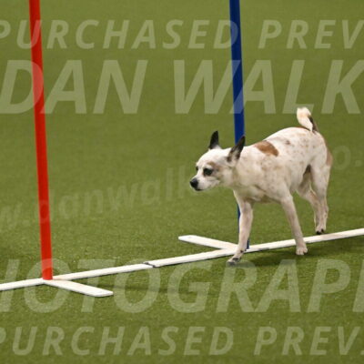 Bob-Hope-Margaret-Poulin-11319