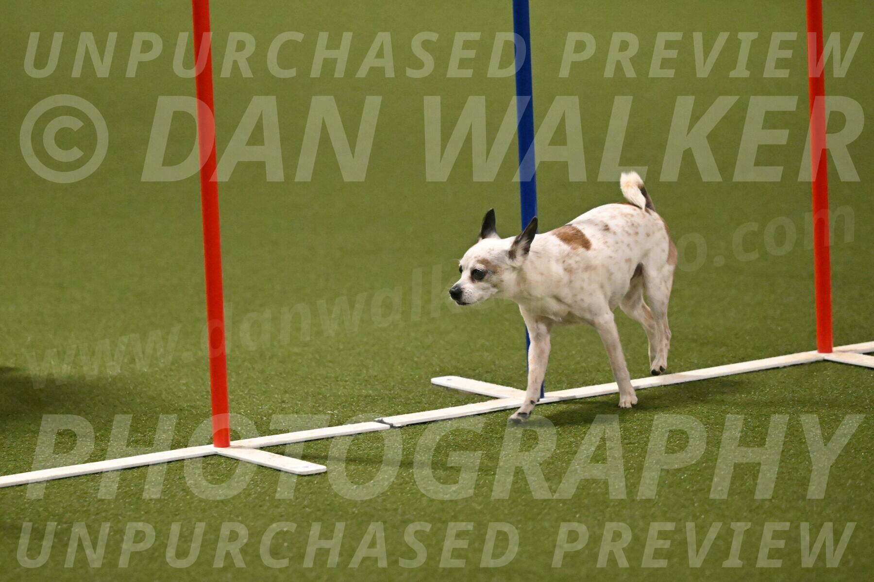 Bob-Hope-Margaret-Poulin-11319