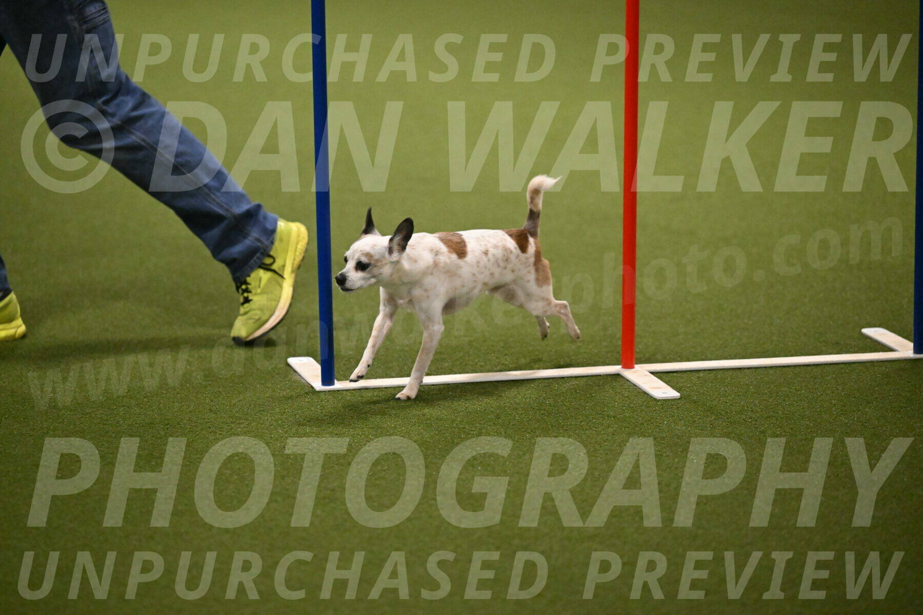 Bob-Hope-Margaret-Poulin-11320