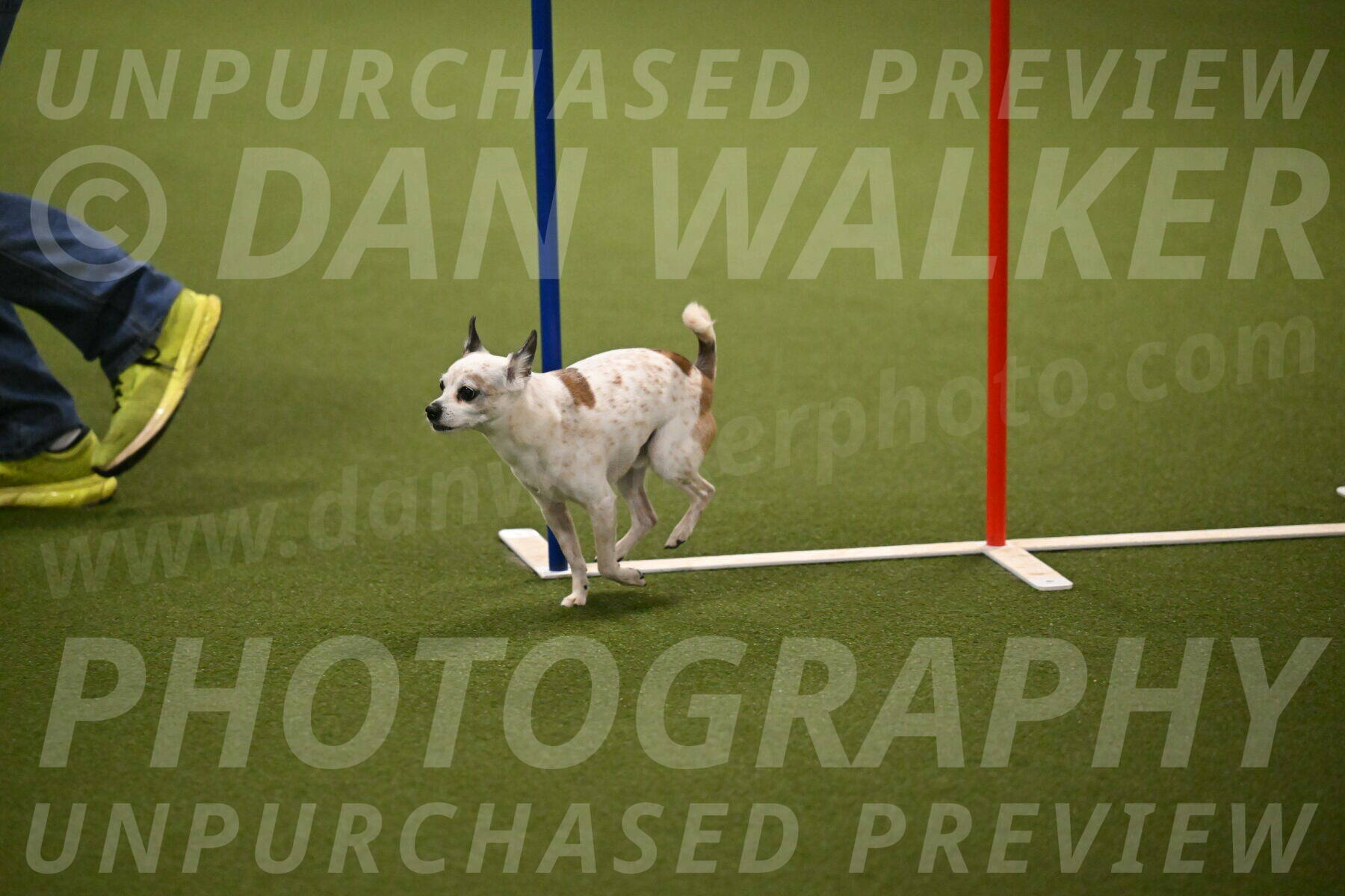 Bob-Hope-Margaret-Poulin-11321