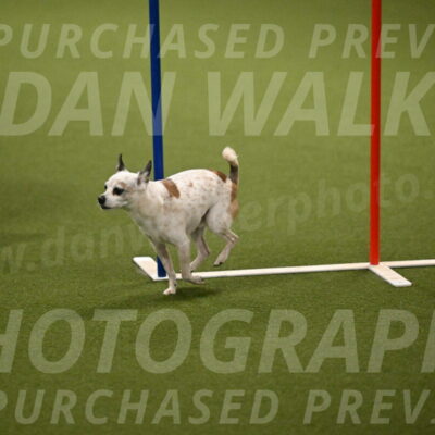 Bob-Hope-Margaret-Poulin-11321