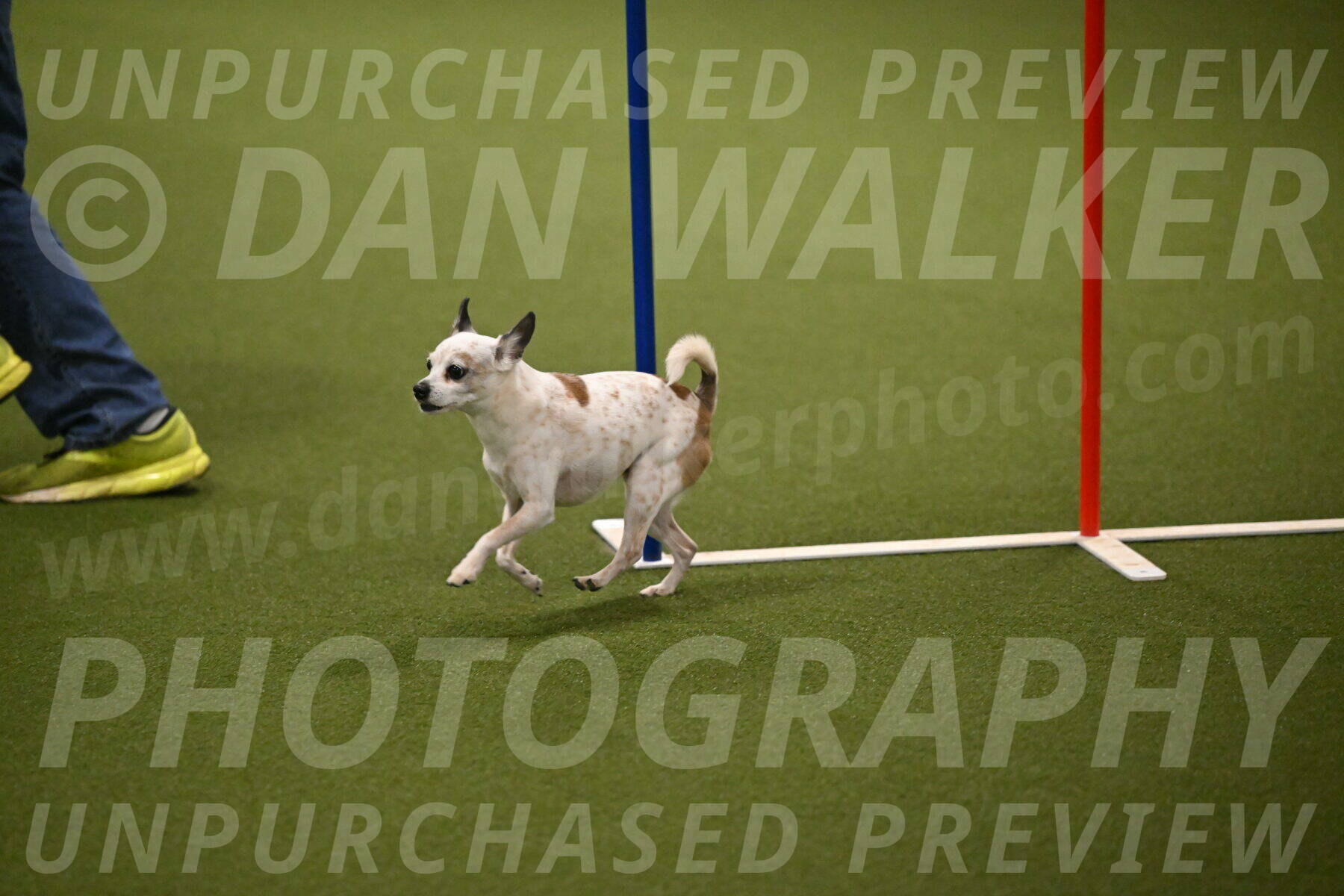 Bob-Hope-Margaret-Poulin-11322