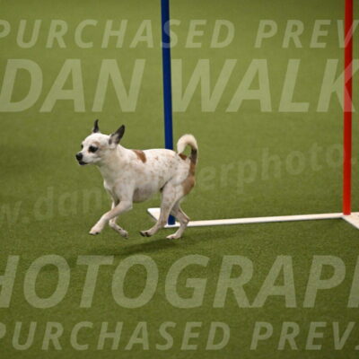 Bob-Hope-Margaret-Poulin-11322