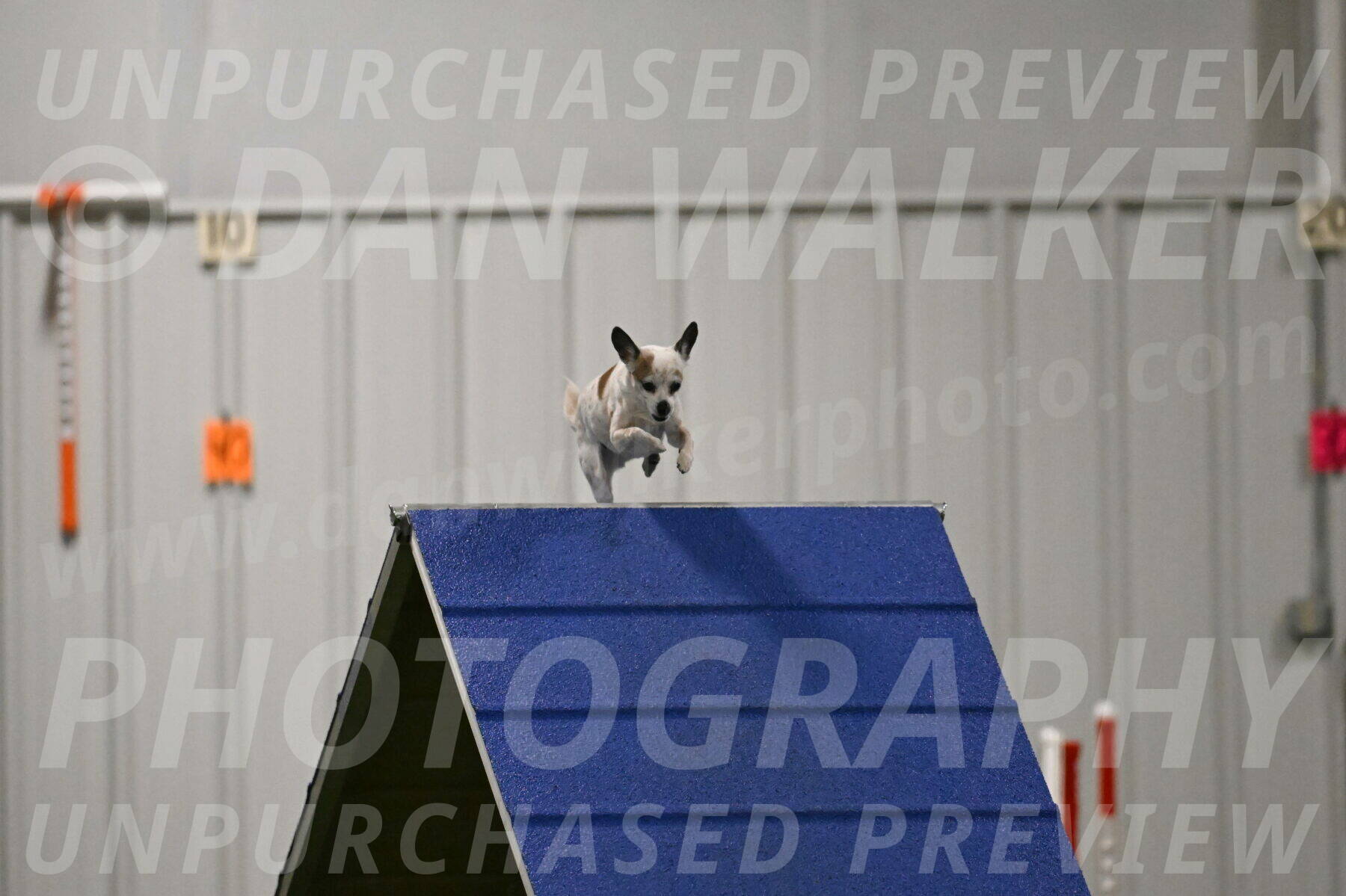 Bob-Hope-Margaret-Poulin-11323