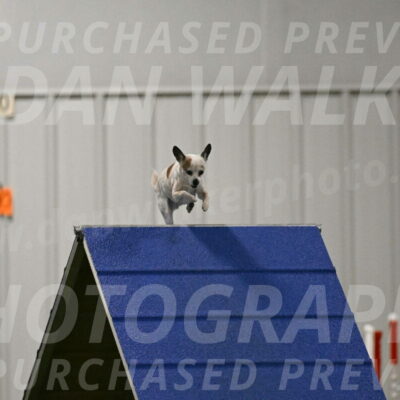 Bob-Hope-Margaret-Poulin-11323