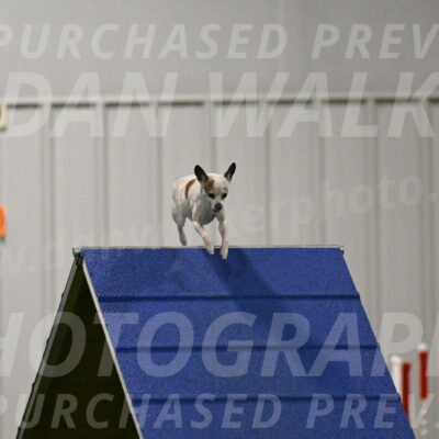 Bob-Hope-Margaret-Poulin-11324