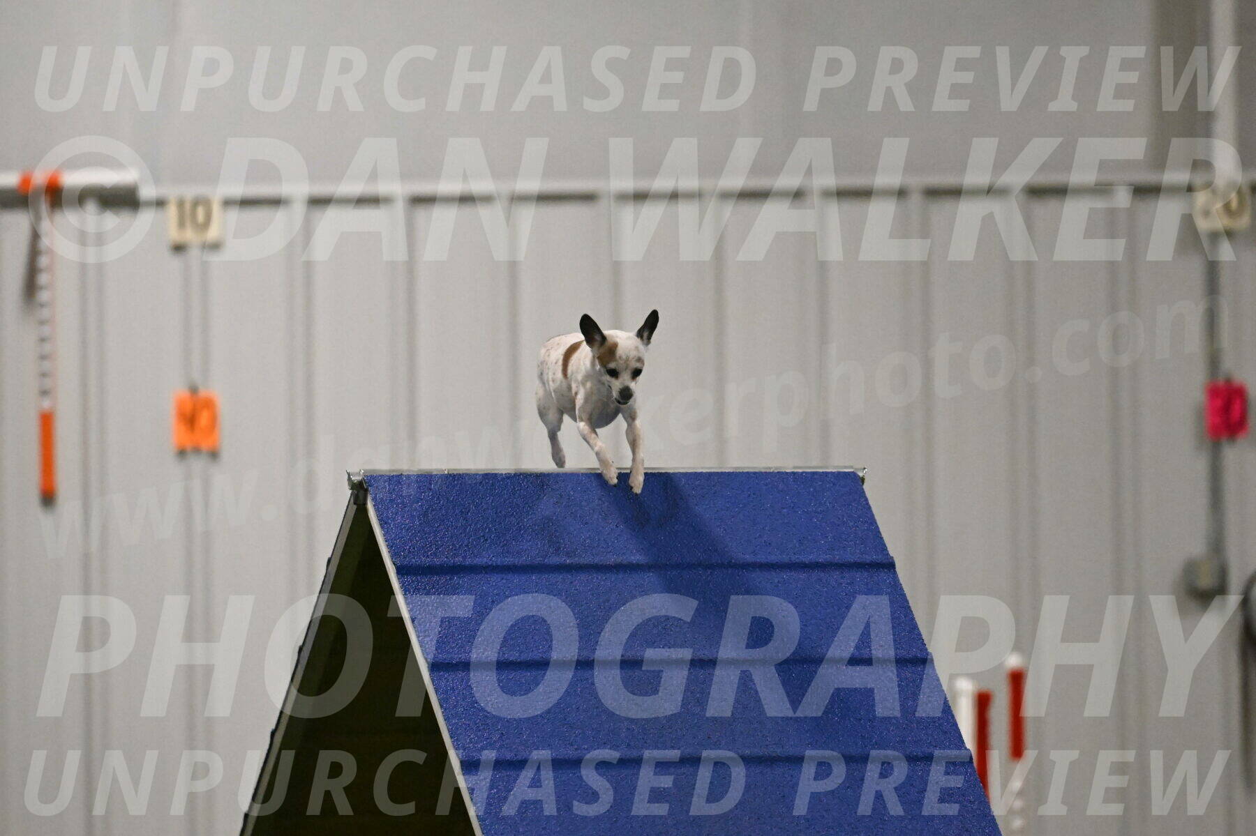 Bob-Hope-Margaret-Poulin-11324