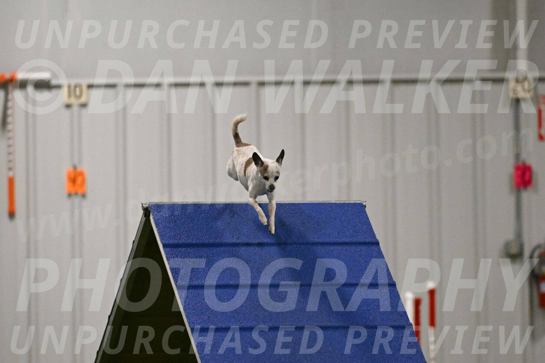 Bob-Hope-Margaret-Poulin-11325