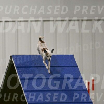 Bob-Hope-Margaret-Poulin-11326