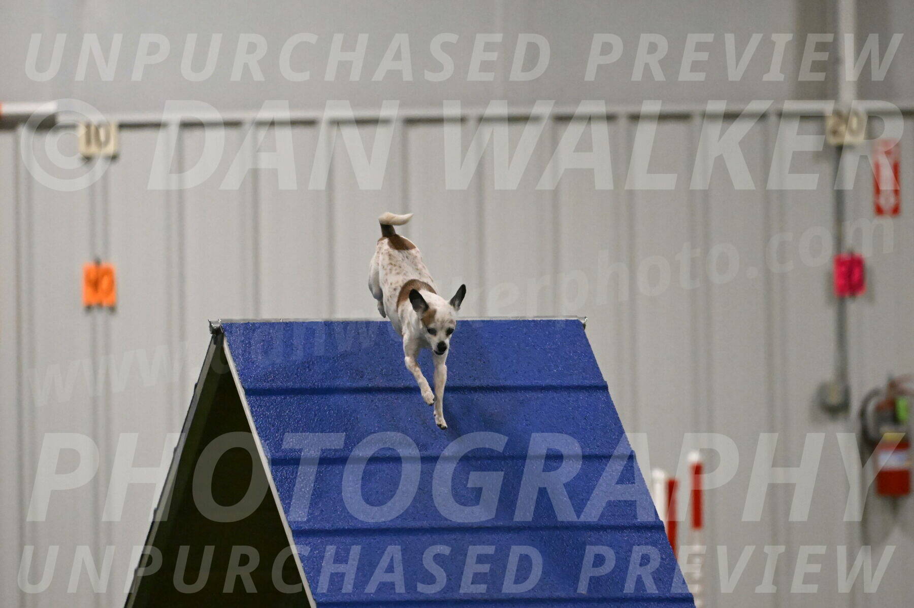 Bob-Hope-Margaret-Poulin-11326