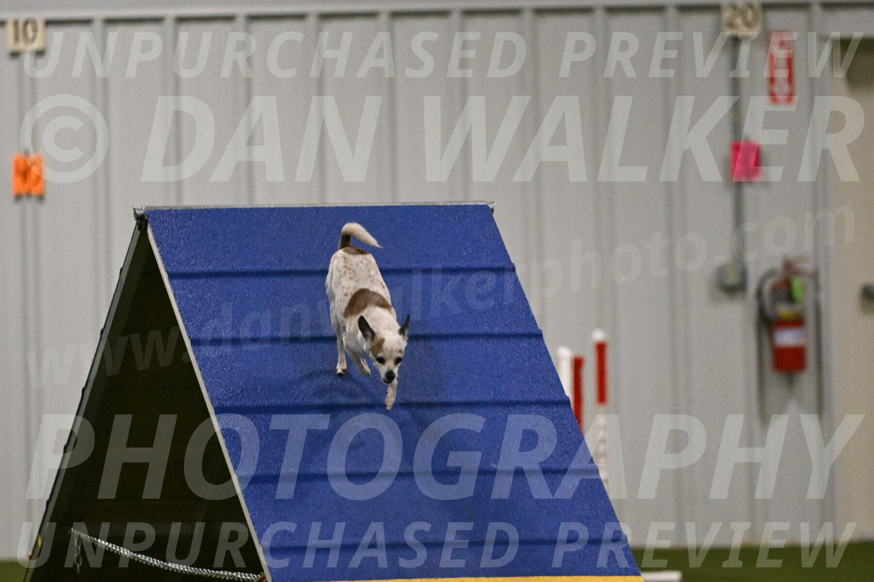 Bob-Hope-Margaret-Poulin-11327