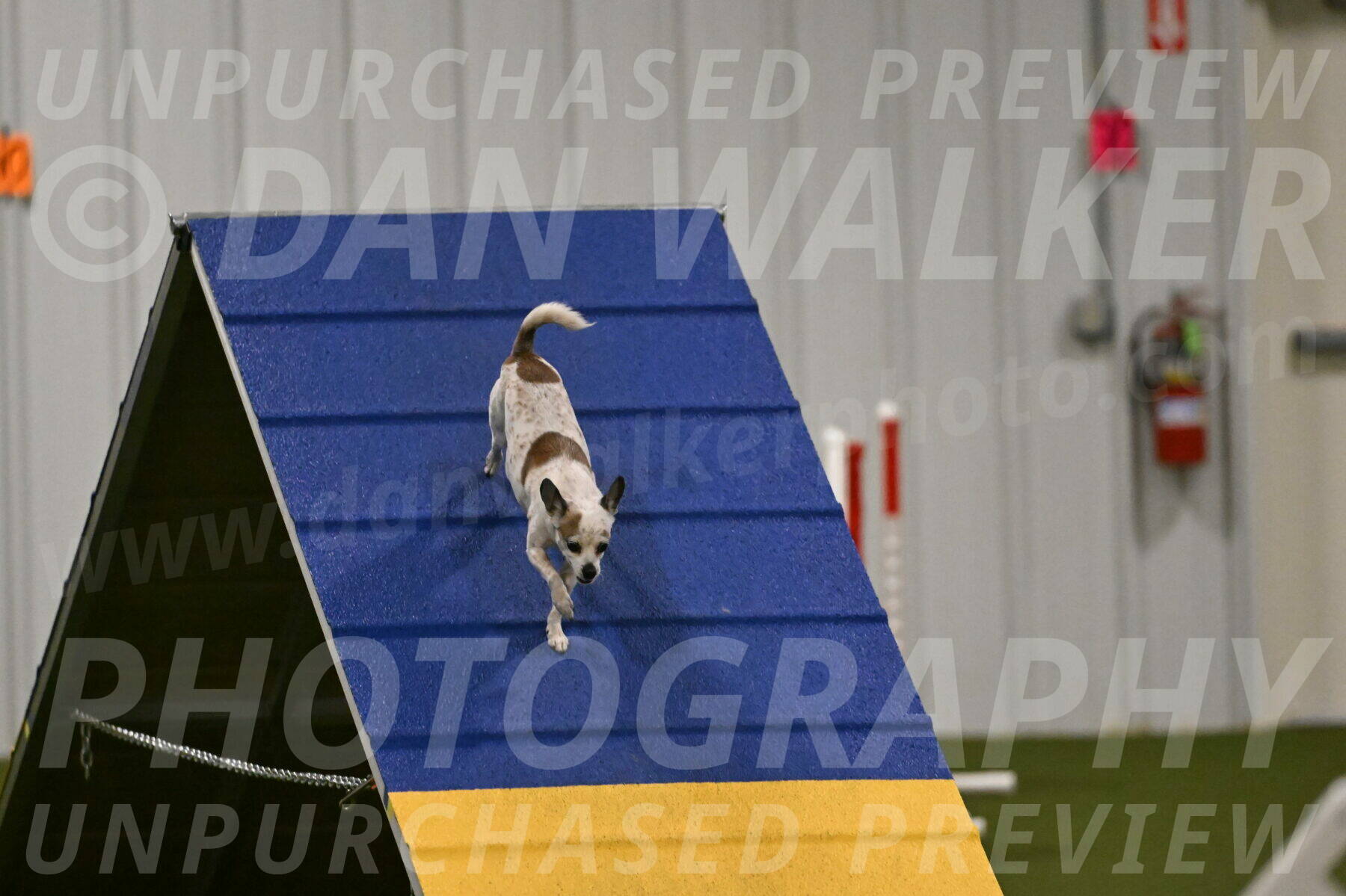 Bob-Hope-Margaret-Poulin-11328