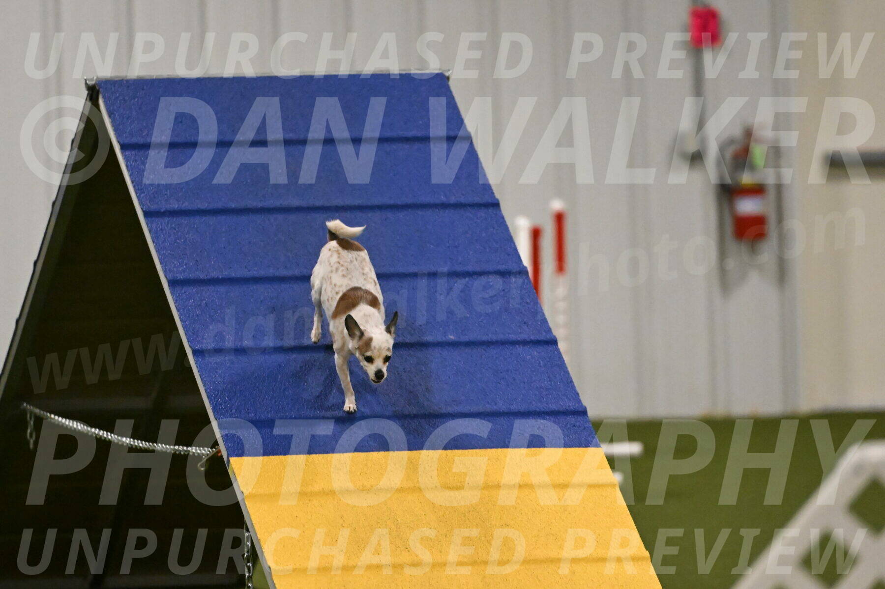 Bob-Hope-Margaret-Poulin-11329