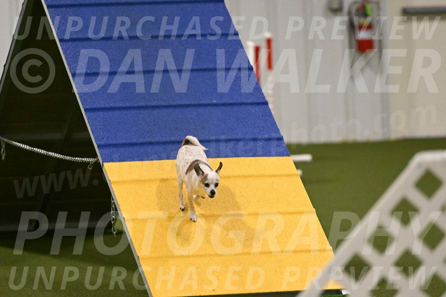 Bob-Hope-Margaret-Poulin-11330