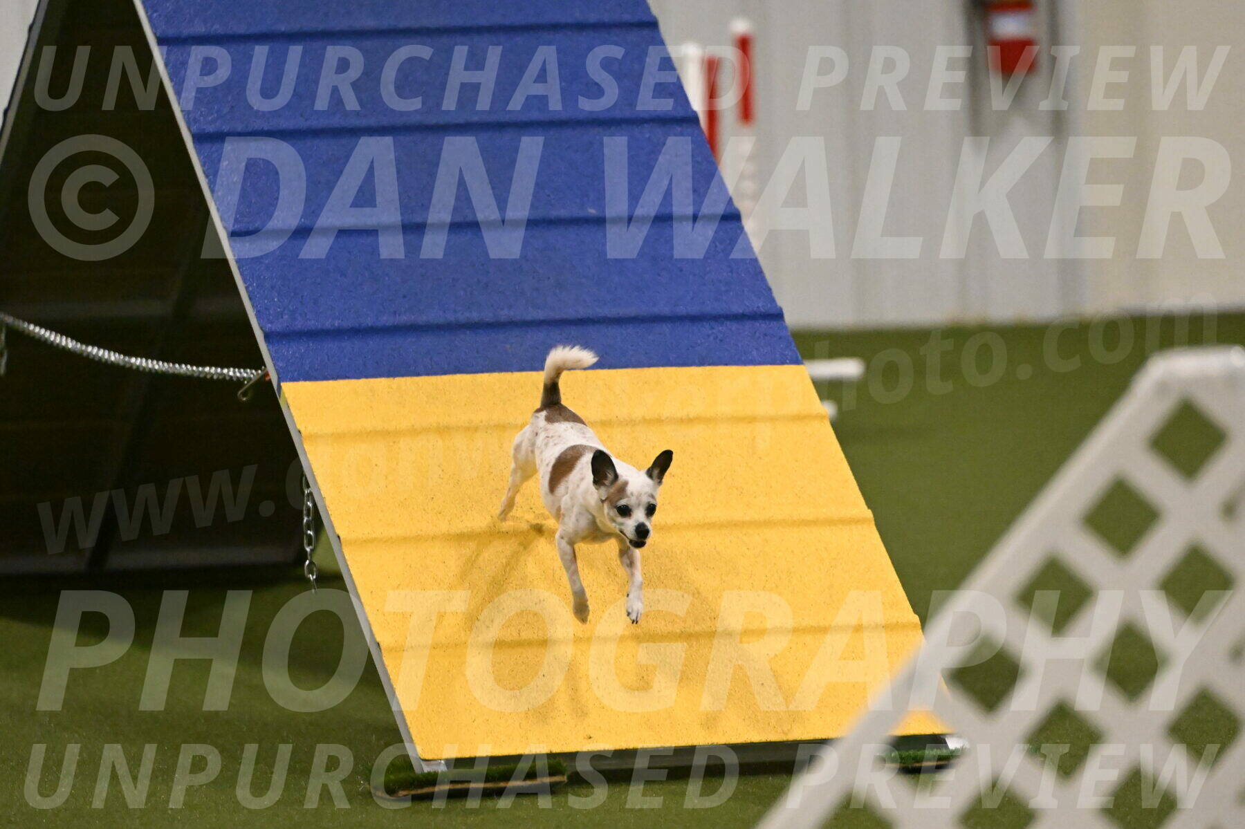 Bob-Hope-Margaret-Poulin-11331