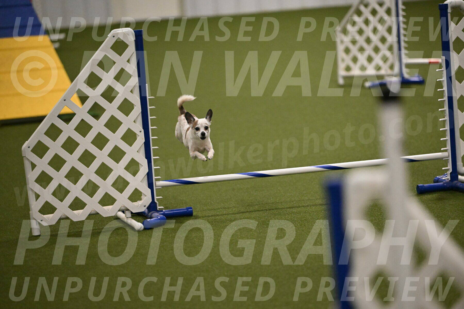 Bob-Hope-Margaret-Poulin-11332