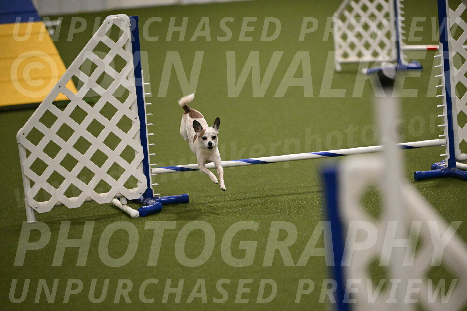 Bob-Hope-Margaret-Poulin-11333