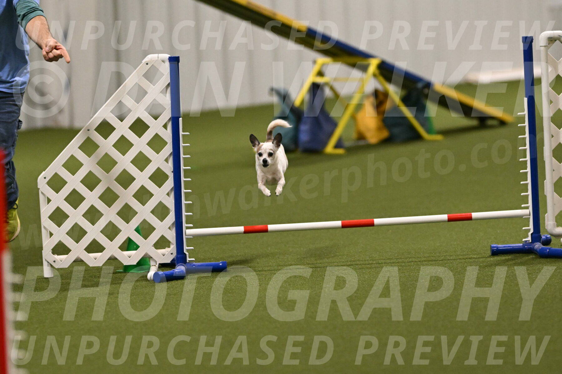 Bob-Hope-Margaret-Poulin-11363