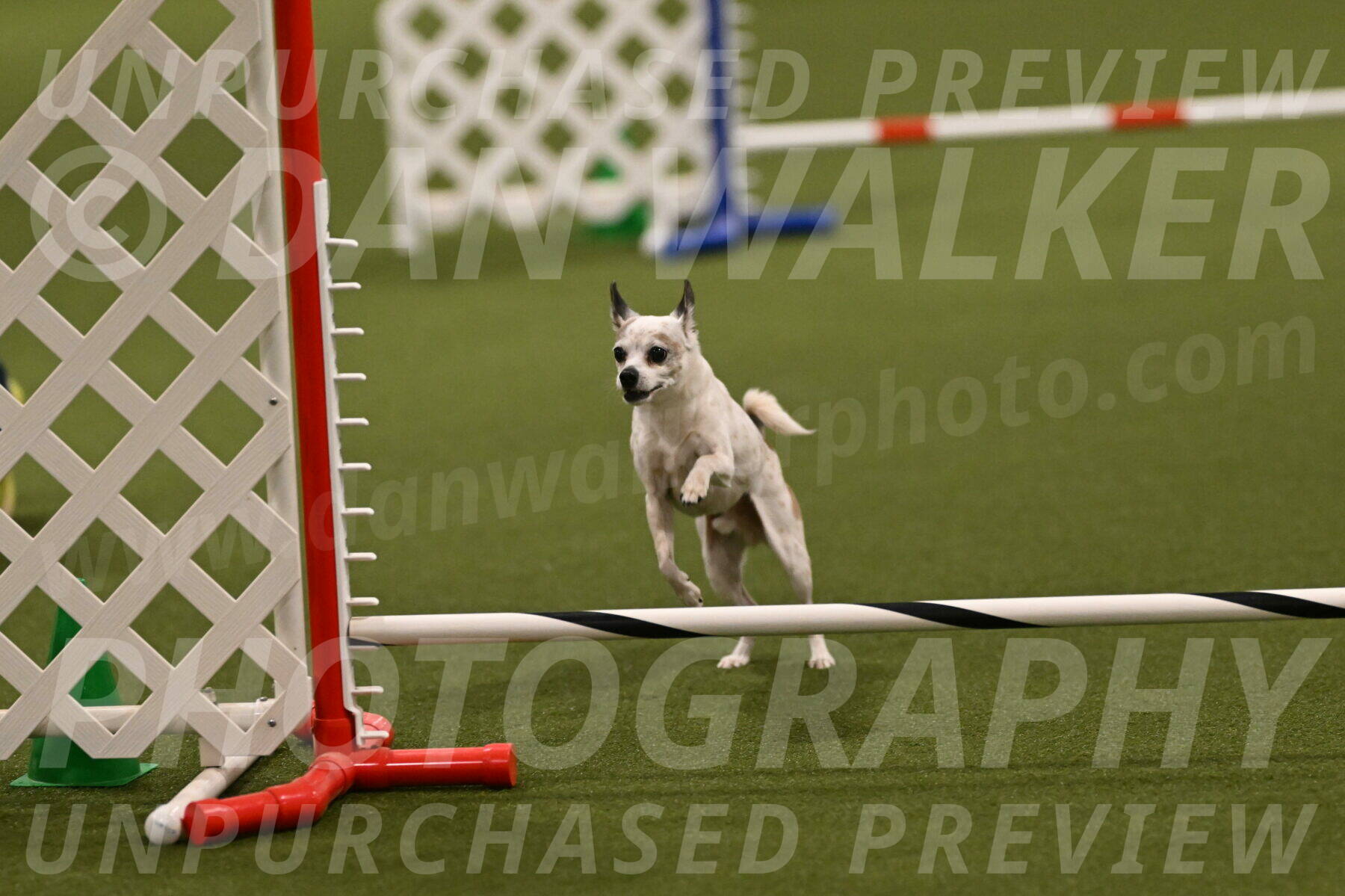 Bob-Hope-Margaret-Poulin-11366