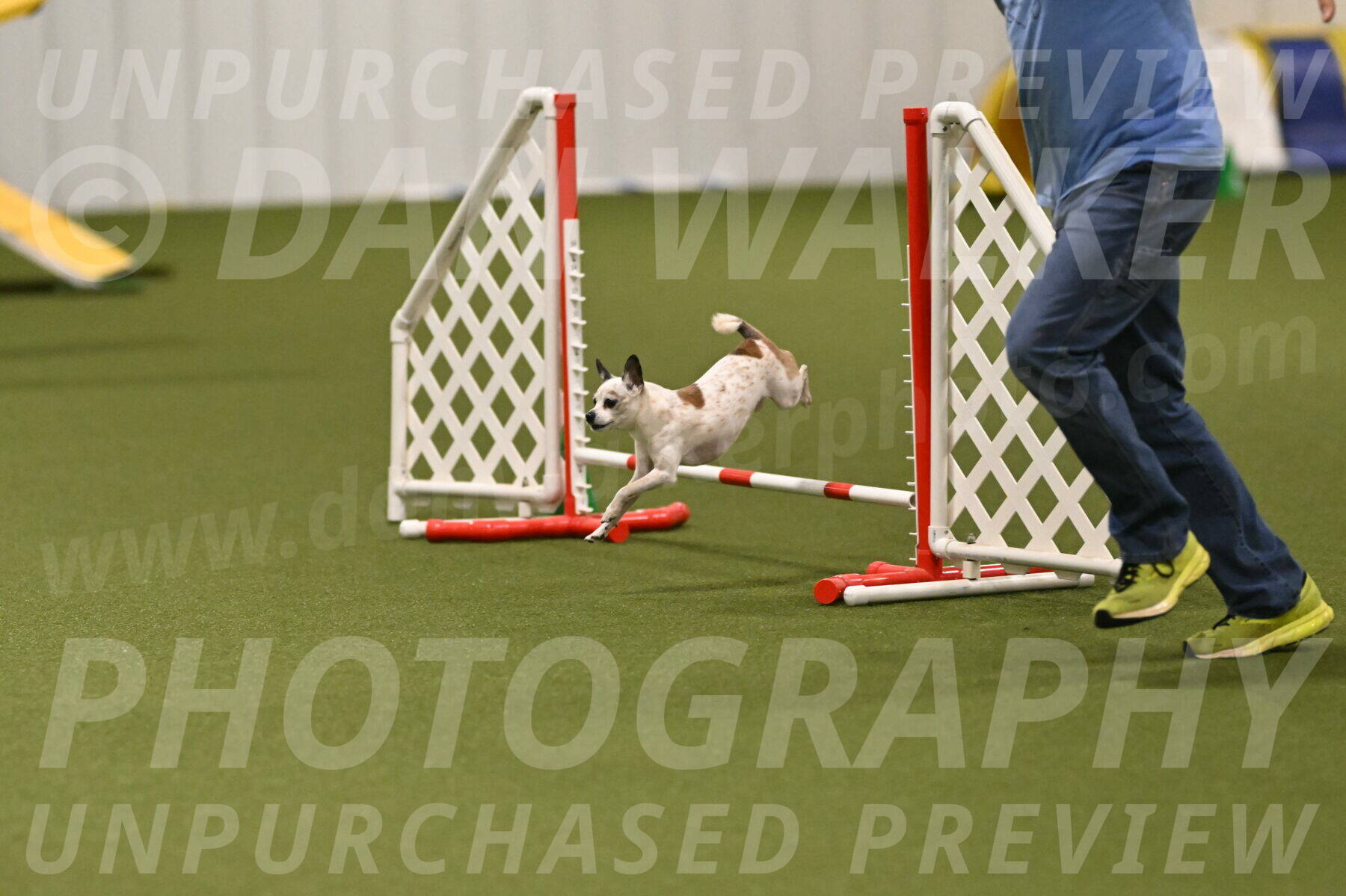 Bob-Hope-Margaret-Poulin-11415