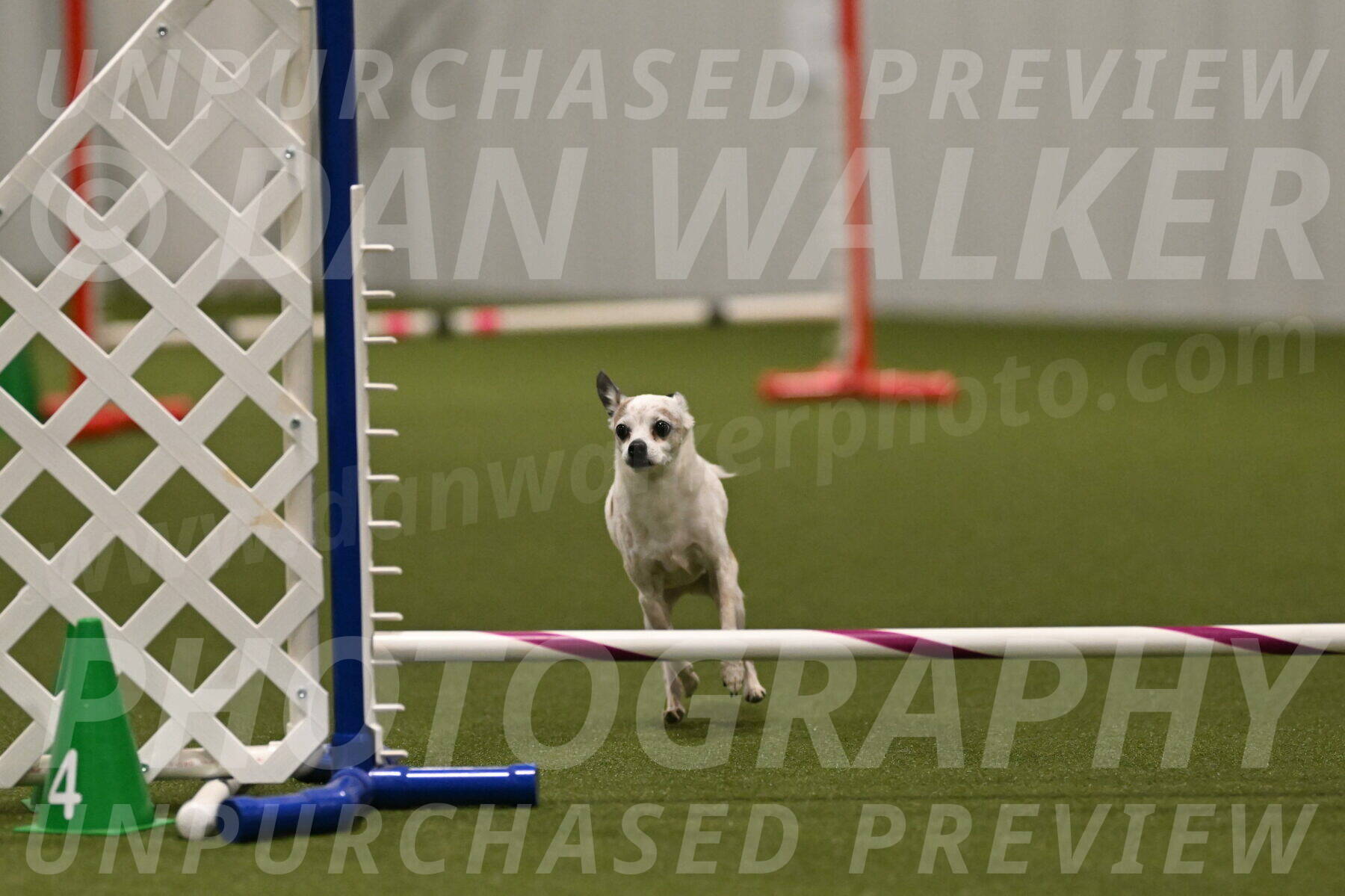 Bob-Hope-Margaret-Poulin-11437