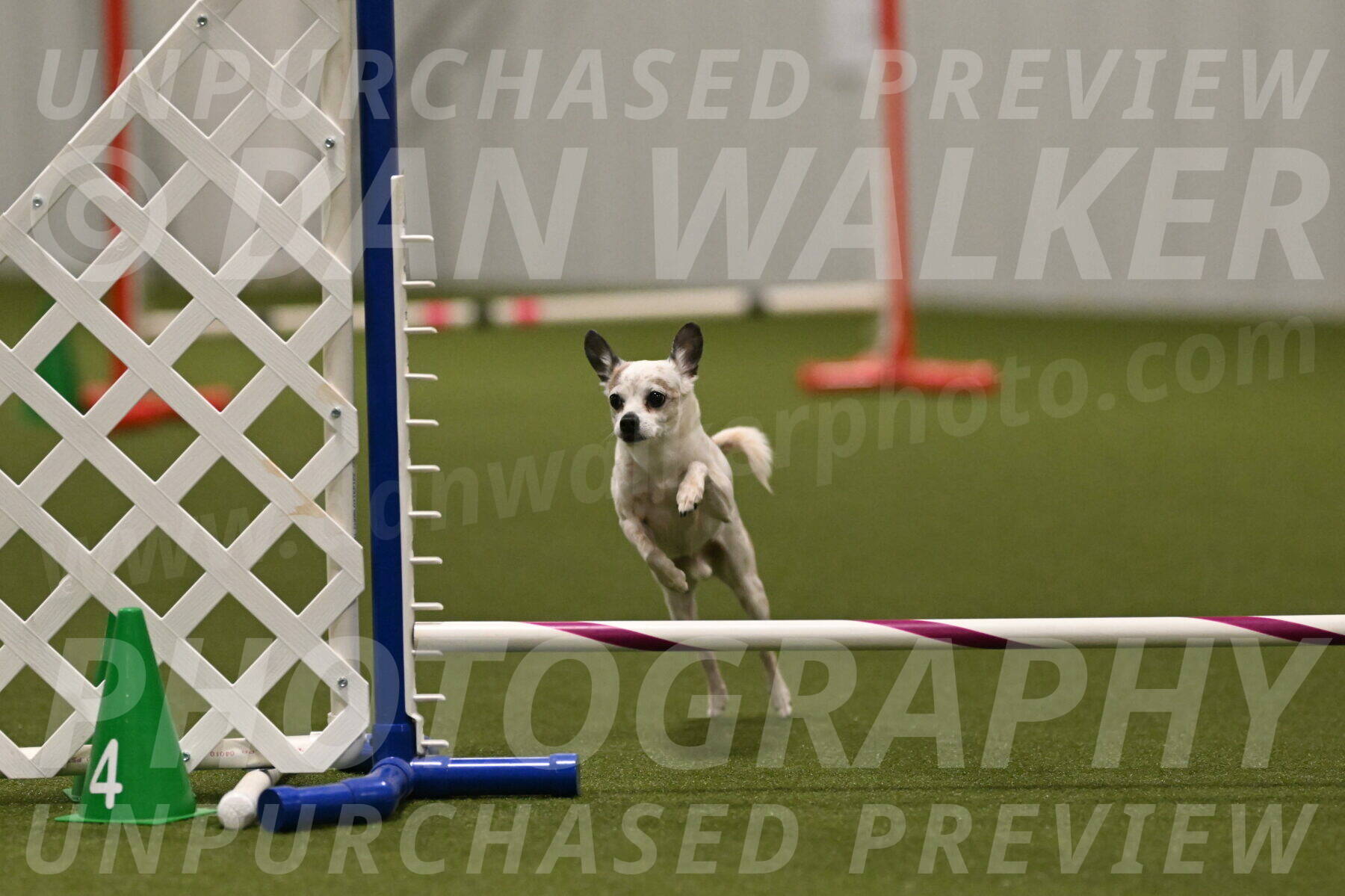 Bob-Hope-Margaret-Poulin-11438