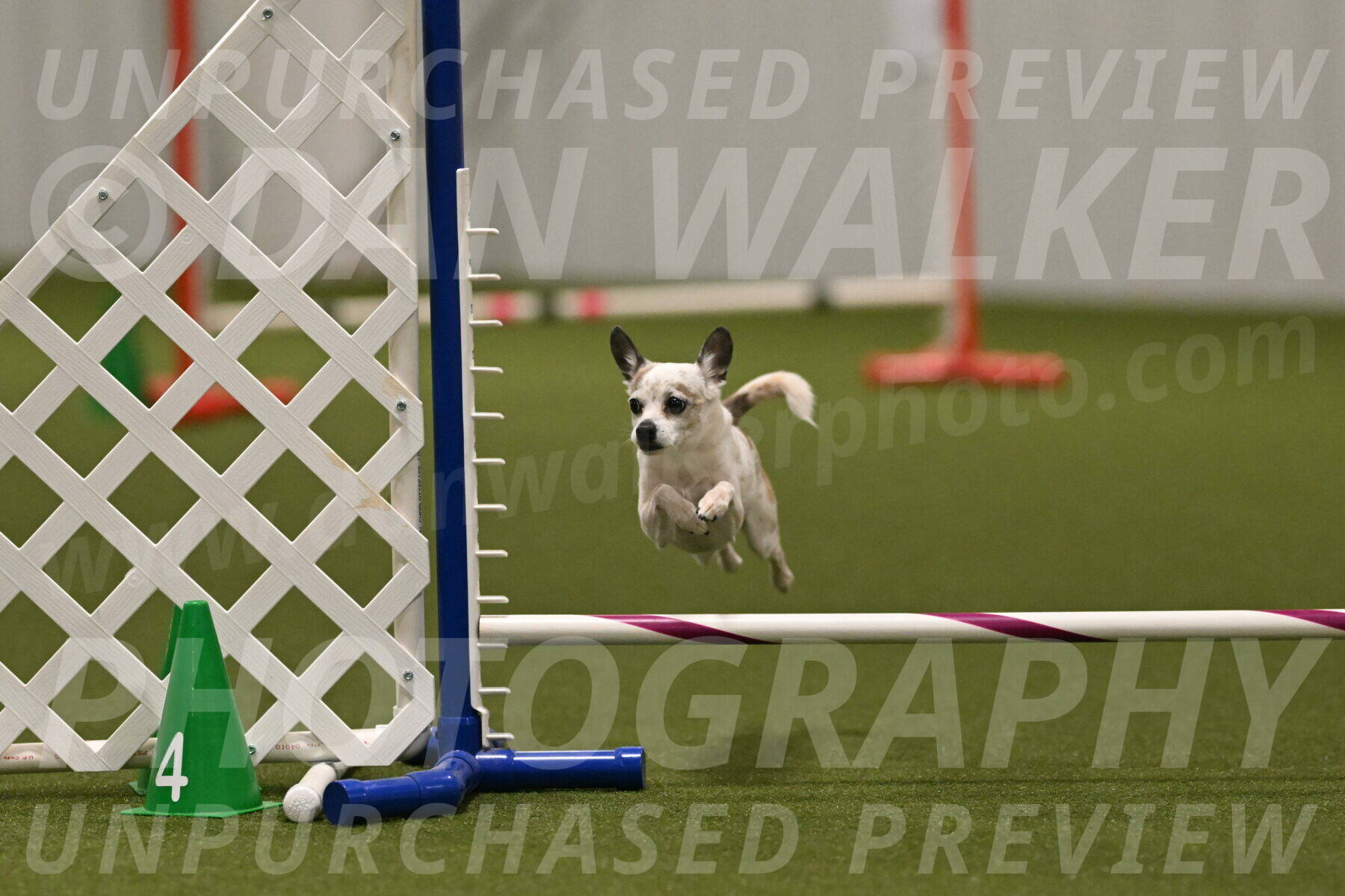 Bob-Hope-Margaret-Poulin-11439