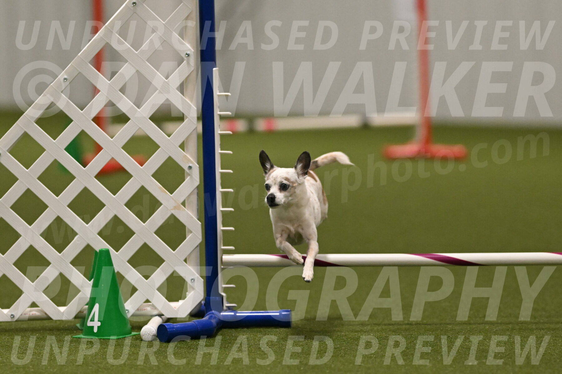 Bob-Hope-Margaret-Poulin-11440