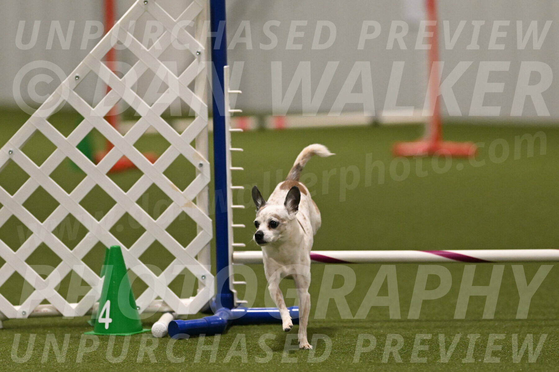 Bob-Hope-Margaret-Poulin-11441