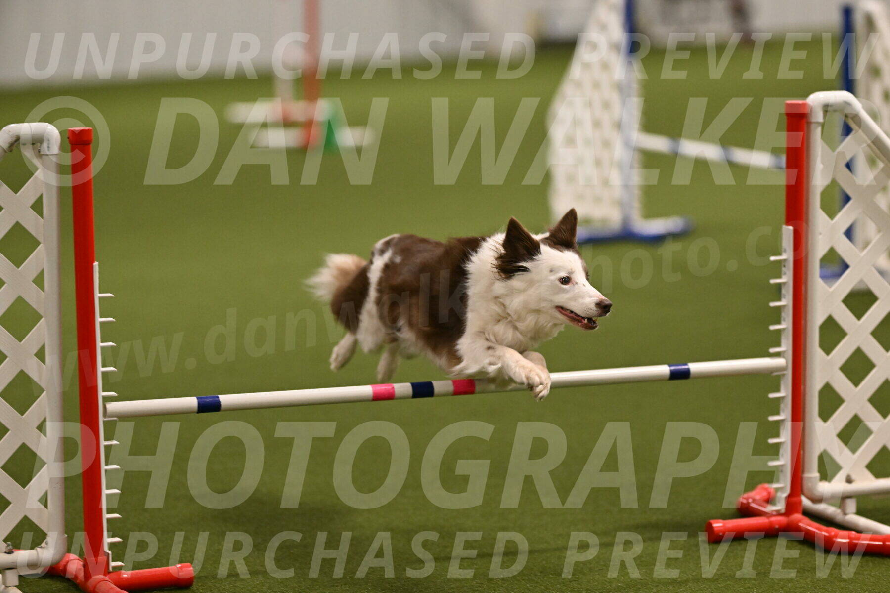 Bree-Holly-Murray-07009