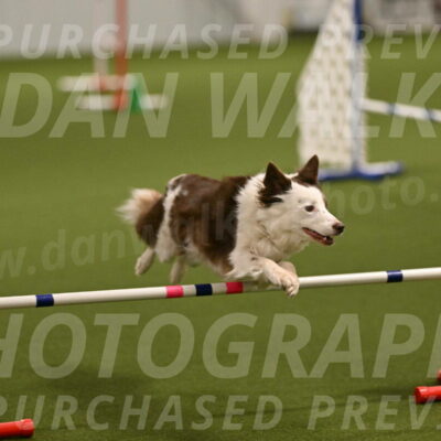 Bree-Holly-Murray-07009