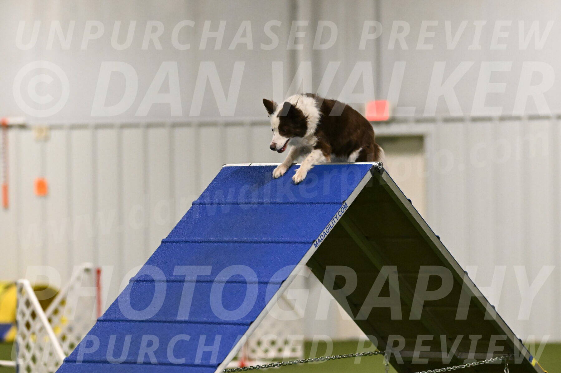 Bree-Holly-Murray-07038