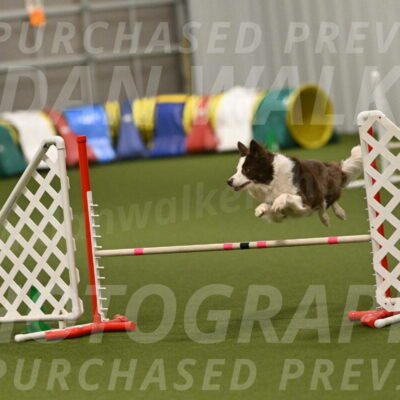 Bree-Holly-Murray-07050