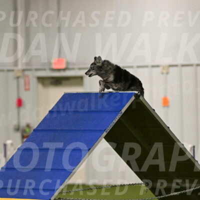 Bruce-Vic-Belebczuk-00788
